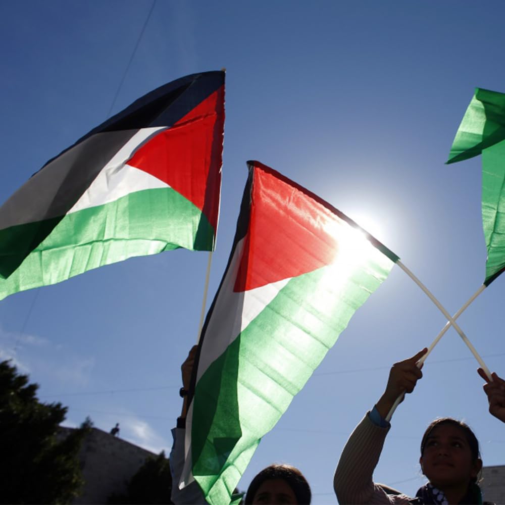 Bandiera Palestina 150x90cm con 2 Occhielli Resistente alle Intemperie per Esterno Bandiera Palestinese