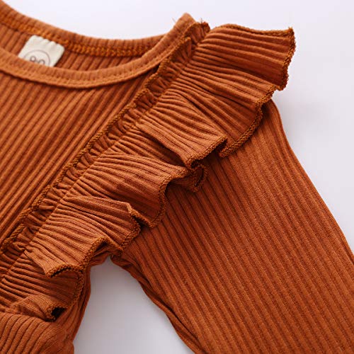 Infant Toddler Baby Girl Ribbed Ruffle Dress Cute Kids Solid Long Sleeve Dresses Top Fall Winter Warm Outfits Clothes (Ruffle Long Sleeve-Brown, 3-4T) #TOP3