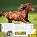 Equine Paste 1.87% – 12 Pack (6.08g) Apple Flavored Oral for Horses