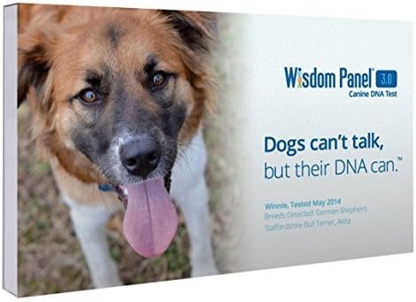 Mars Veterinary Wisdom Panel 3.0 Breed Identification DNA Test Kit by Mars Veterinary