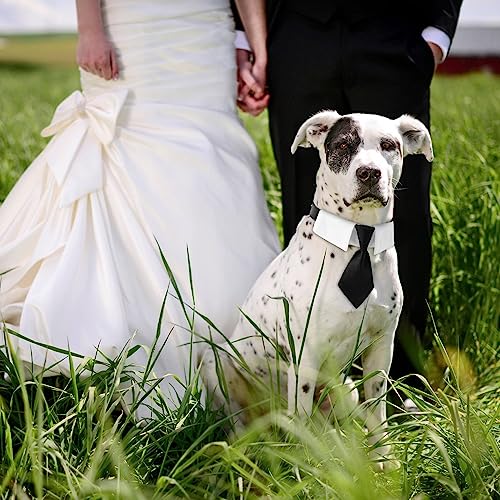 Hund Fliege Halsband, verstellbare Hochzeit Haustier Krawatte, Formelle Hunde Smokinghalsband Katze Schlips für Welpe, Kätzchen, große, mittelgroße und kleine Hunde und Katzen