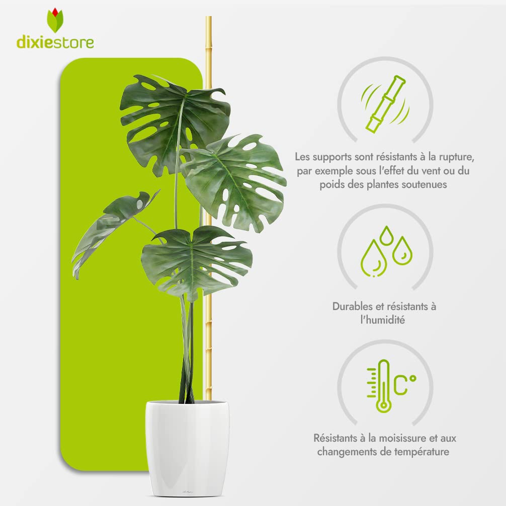 Dixiestore Baguettes en Bambou | Poteaux en Bambou Ensemble de Supports de Fleurs | Lot de 25 Piquets de Plantes Très Résistants 180 Cm x 12-14 Mm