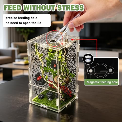 Image of Jumping Spider Enclosure Kit 22pcs Terrarium with Decor