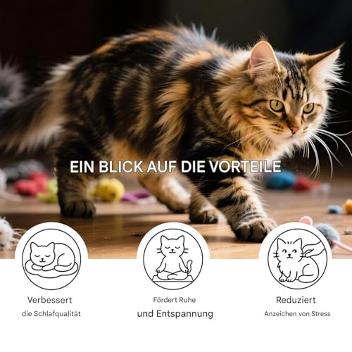 Biniveil für Katzen | 60ml Beruhigungstropfen Zur Schlafunterstützung - Einschlafhilfe Nahrungsergänzung Haustierzubehör für Kätzchen Nacht Indoor Gewitter Reise Baden Pflege | Bei Transport