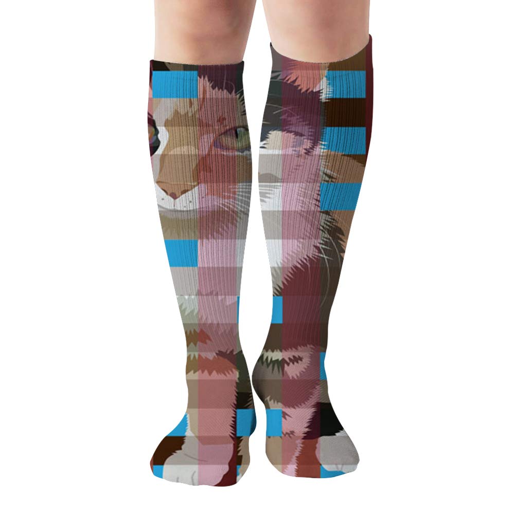Cat On Cage Tricolor Miscellaneous Sports Recreation Compression Socks Unisex Printed Socks Fun Long Cotton Socks Over The Calf Tube 19.7 Inch