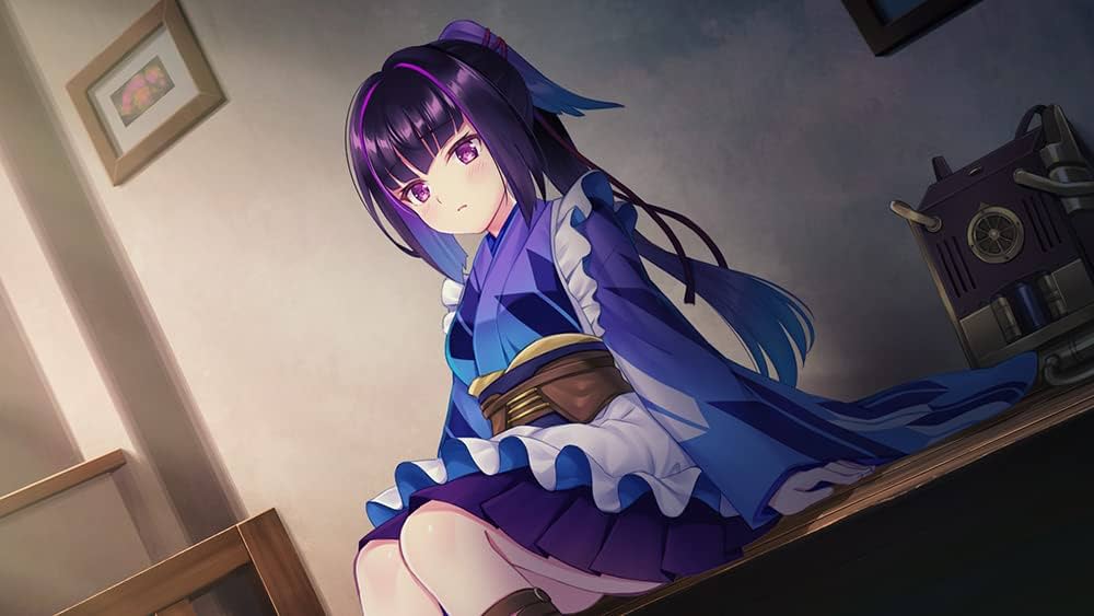 Amazon.co.jp: プリマドール 冬空花火/雪華文様 初回限定版 : PC