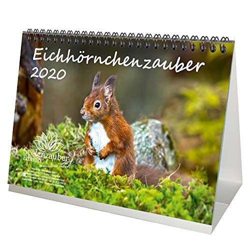 Télécharger Eichhörnchenzauber Calendrier de table DIN A5 avec motif écureuil d'écureuil et carte de Noël Livre PDF Gratuit