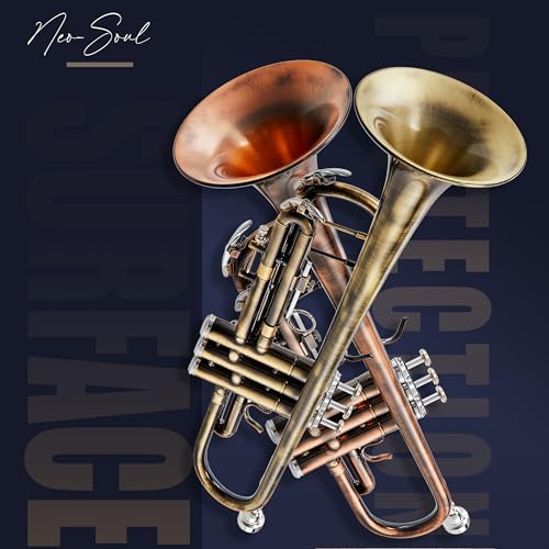 AKLOT Antique Bronze Bb Trumpet: Phosphor Bronze Bell, Smooth Monel Valves, Double Tuning Slide Braces, Standard Trumpet with Premium Leather Case, Lesson Book, Trumpet Mute, Cleaning Kit (SNR-PriBC) - Thumbnail 5