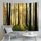 タペストリー 壁掛け 風景 木漏れ日の森 間仕切りカーテン おしゃれ インテリア雑貨 ポスター 多機能壁飾り 自宅やお店の装飾 新居祝い個性プレゼント