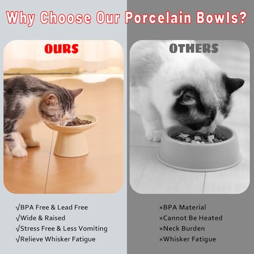 Image of Wide Shallow 6.1 inch Raised Cat Bowls, Ceramic Elevated Food Plate for Flat Faced Cats and Small Dogs, Porcelain Feeder Bowl, Stress Free, Protect Cat's Spine, Cream