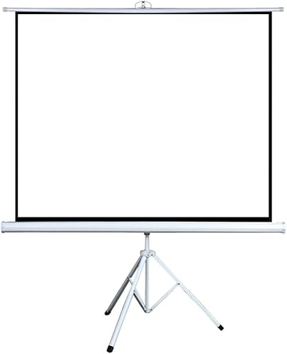 Projector Screen, Projection Screen 60-100Inch with Stand Indoor Outdoor Portable Mobile Projector Screen Simple Floor-Standing Pull Down (1899 12)