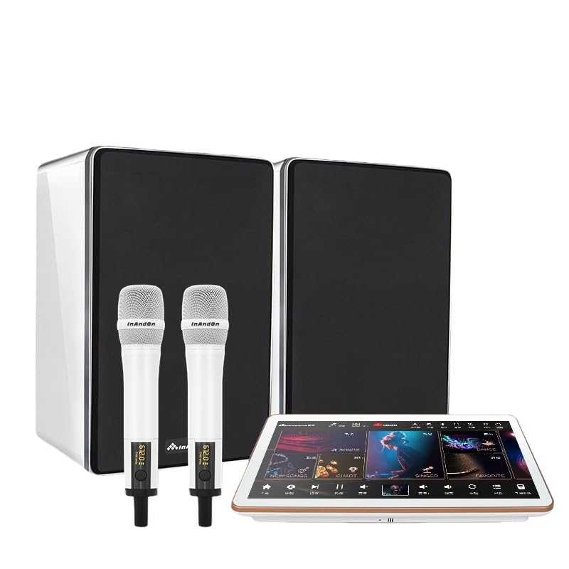 Chinese and English Karaoke Player 15.6-inch Capacitive Touch Screen + V28 Sound Combo Kit with Reverb Wireless Microphone Free Cloud Download Function YouTube APP Online Playback (White Combo 2TB)