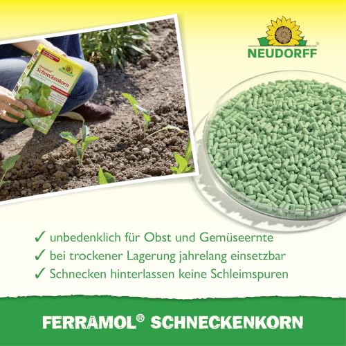 Neudorff Ferramol Schneckenkorn – Zuverlässiger und schneller Schneckenschutz - Extrem Regenfest. Keine toten Schnecken sichtbar… – Ansicht 4
