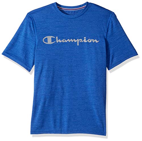 Champion Men's Double Dry Graphic Tee, surf The Web Heather, Large