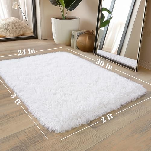Shaggy Rugs for Bedroom Living Room Dorm Kids Room Decor, Soft Modern Indoor Fluffy Shag Area Rug, Non-Slip Fuzzy Floor Carpet 2x3 Feet, Cute Small Rectangle Plush Rug, White