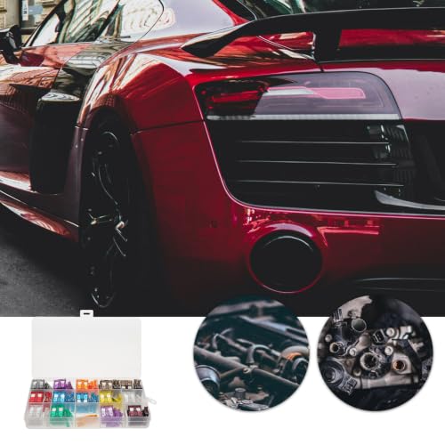 Kit de fusibles automotrices LIFKOME, 150 piezas, fusibles estándar y de perfil bajo Jcase, material PC, para mantenimiento del sistema eléctrico vehicular miniatura 3