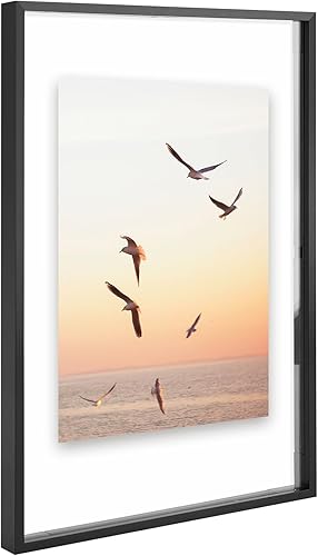 Vista 62 de Frametory, Marco de fotos flotante de 16 x 20 pulgadas, marco de fotos de metal, cristal real, para montaje en pared o mesa (negro, paquete de 2)