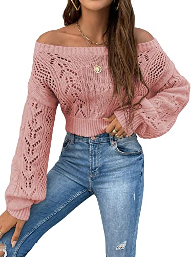 トップス PINK ANDMARY SHEER LOOSE KNIT TOPS ANDMARY】Sheer loose knit tops