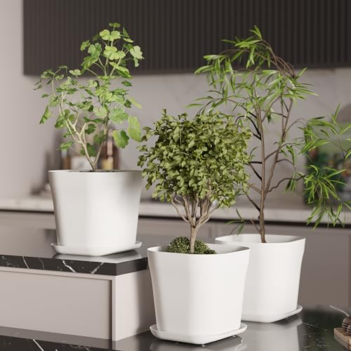 Image of StyleX Store Pack of 3 Square Plastic Flower Pot with Tray | Modern Indoor Outdoor Planter for Home Balcony Garden Office | Durable Lightweight Planter Pot | 6 Inch, White