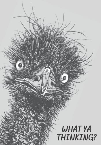 What Ya Thinking?: A Dot and Sketch Journal.