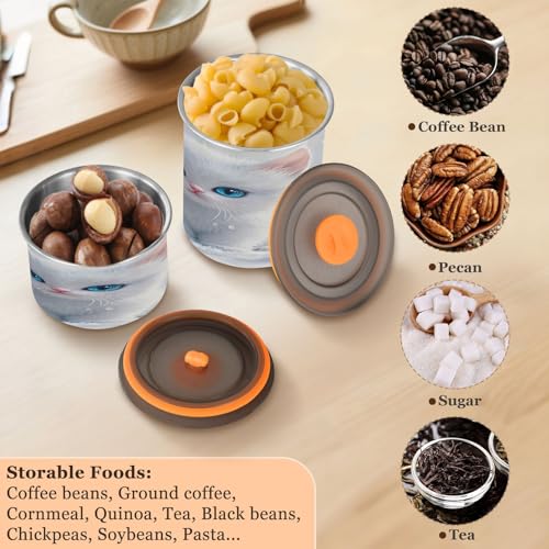 Contenedor de almacenamiento al vacío para café de acero inoxidable Qilmy 30oz miniatura 6