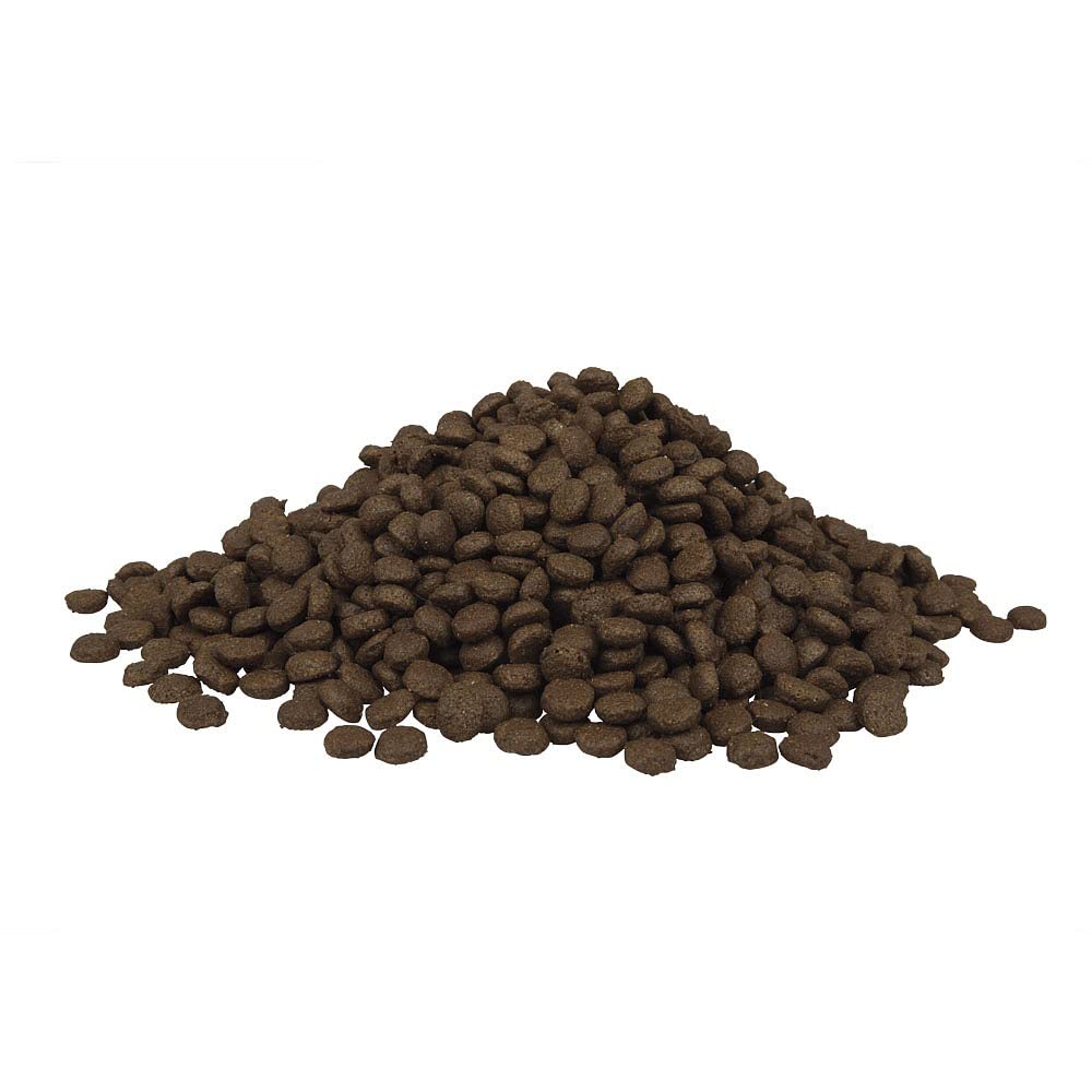 Fitmin for Life Adult Cat - Lamb | Trockenfutter für Katzen | Alleinfutter für kastrierte Erwachsene Katzen | Komplettfutter für Katzen | Neues Rezept | 8 kg
