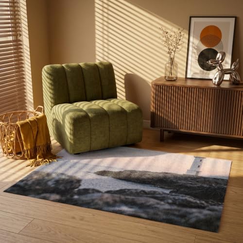 Alfombra Salon Rectangular 120x80 Pelo Corto Lavable Estilo Comedor Alfombrilla XXL 3