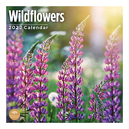 2022 Wildflowers Wall Calendar by Bright Day, 12 x 12 Inch, Nature Garden