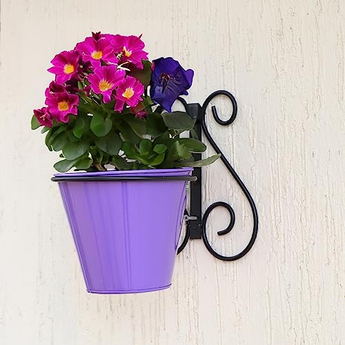 TrustBasket Rainbow Wall Mounting Planters with Stands (Set of 6) -Wall Hanging Pot Stand,Indoor/Outdoor Use,Home Decor/Garden Decor,Balcony Hanging,Office use with Multi-Color Pots