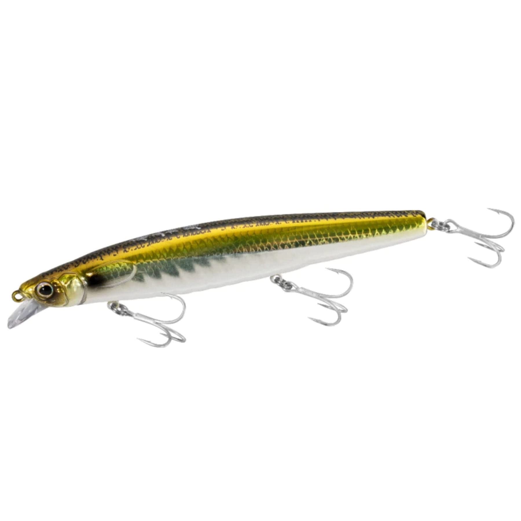 DAIWA - こうのすけたろう 41JQUOiXNPL.jpg_BO30,255,255,