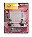 HELLA 9005 100WTB Twin Blister High Wattage Bulbs, 12V, 2 Pack