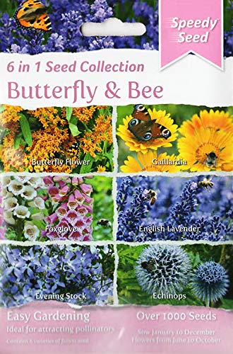 Butterfly & Bee 1000 Flower Seeds, 6 in 1: Gaillardia/Foxglove/Lavender/Evening Stock/Echinops/Milkweed/12/2022