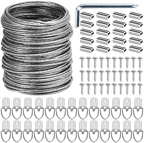 Ouskr 100 Pcs Picture Hanging Wire Kit, 100 Feet Heavy Duty Wire Picture Hanging for Photo Mirror Frame Artwork, Included D Ring Picture Hangers, Screws, Aluminum Sleeves, Screwdriver, up to 30lbs