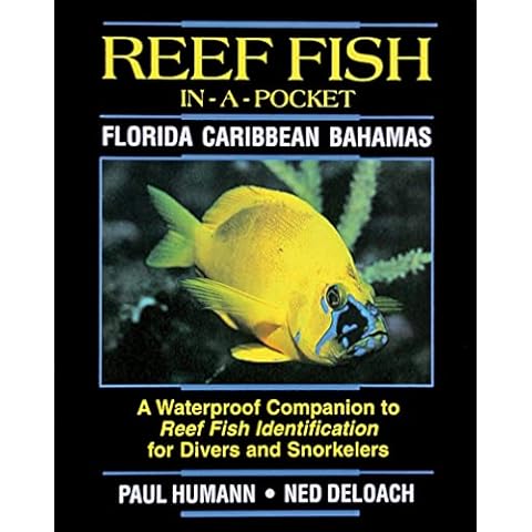 Reef Fish In A Pocket - Florida Caribbean Bahamas Cover