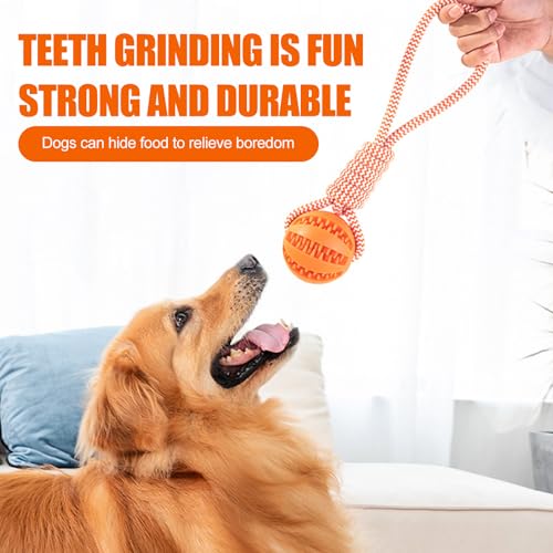 GmwyCzV 3 Stück Hundespielzeug,5cm Hundespielzeug Ball mit Seil Naturkautschuk Ball,Interaktives Hundeball Spielzeug,Kauspielzeug für kleine mittlere große Hunde für Zahnpflege (Blau Orange Grün)