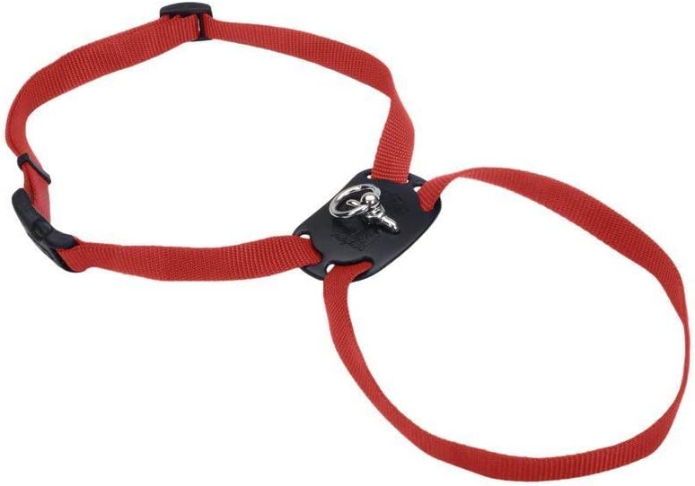 Coastal Pet -Size Right Adjustable Harness Red 12 to 18 Inches, Width 3/8"