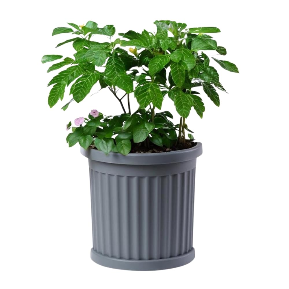 GarPet Pflanzkübel Groß Außen Pflanzkübel Halbrund direkt an der Wand Blumenkübel Groß Blumenkübel Outdoor Balkon Kübel Grau Wandkübel für Pflanzen Blumentopf Hoch 50 cm Garten