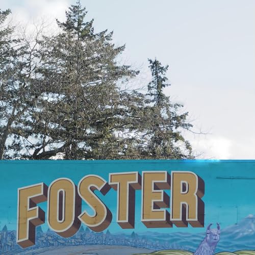 Episode 12: Summer check in with Jeff and Allen