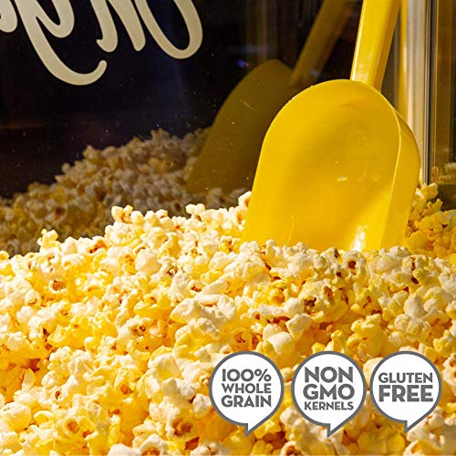 Jolly Time All In One Kit for Popcorn Machine Portion Packet, 8.0 Ounce (Pack of 36)