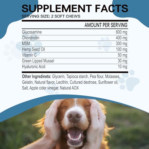 Joint Supplement for Dogs, Glucosamine Chondroitin for Dogs, Hip and Joint Support Supplement Chews Dogs Small Large Breed Dog Arthritis Pain Relief Joint Health Care Mobility Bites Treats for Dogs Joint Supplement for Dogs, Glucosamine Chondroitin for Dogs, Hip and Joint Support Supplement Chews Dogs Small Large Breed Dog Arthritis Pain Relief Joint Health Care Mobility Bites Treats for Dogs