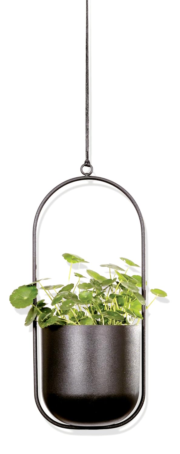 ARTORA 2 Stück Metall-Pflanzenhänger – Schwarzer Blumentopfhalter Mit Ketten, Für Balkon & Zimmer