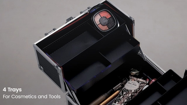 Amazon.com : Frenessa Makeup Train Case Cosmetic Organizer Case