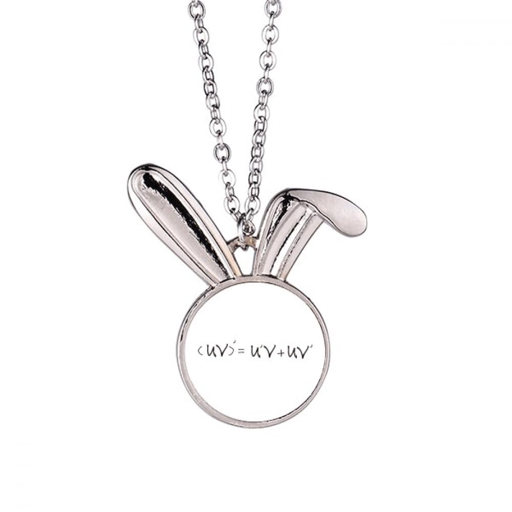 Collier pendentif lapin formule math pour affirmer sa passion des sciences - 5