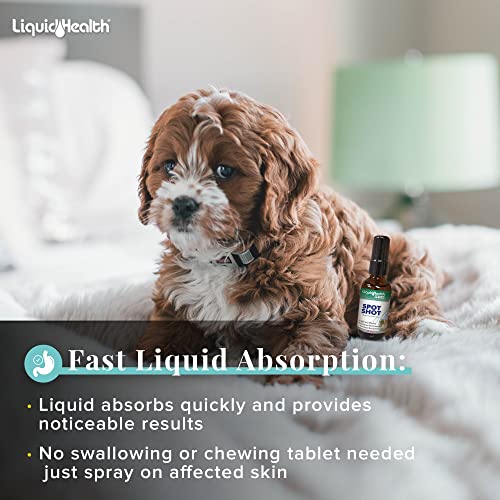 Liquidhealth 2 Fl Oz - 2 Pack Colloidal Silver Spot Shot Spray For Cats And Dogs, Liquid 10Ppm Supplement Itch Relief For Skin, Wounds, Itching, Rash, Infection, Clipper Burn #TOP4