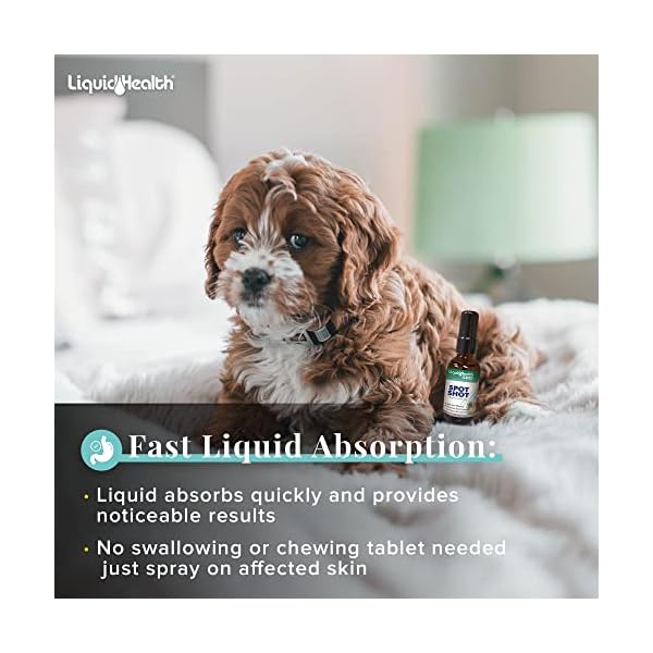 LIQUIDHEALTH Colloidal Silver Spot Shot Spray - Fast Relief for Itching Cats and Dogs