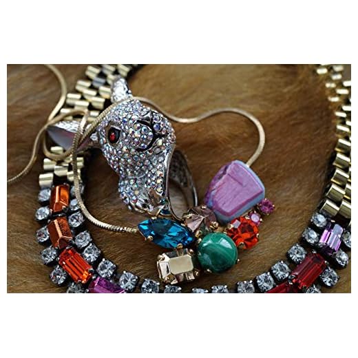 Sony E 50mm F1.8 OSS Portrait Lens