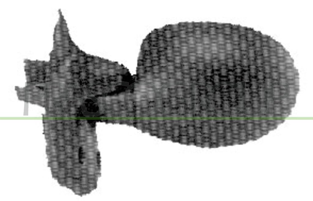 Prasco RN0257104 - Specchio Esterno-image