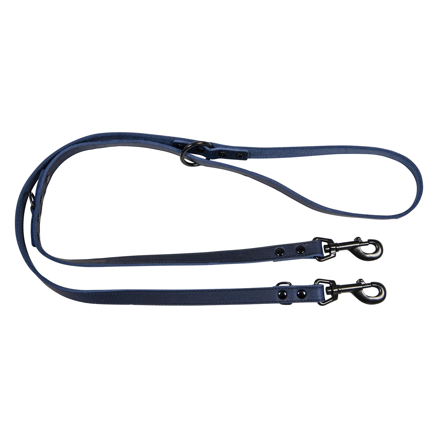 Laisse de dressage chien haut de gamme Jack and Vanilla sangle bleue 2m