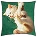 Produktbild TARZAN THE CAT ! - Throw Pillow Cover Case (18