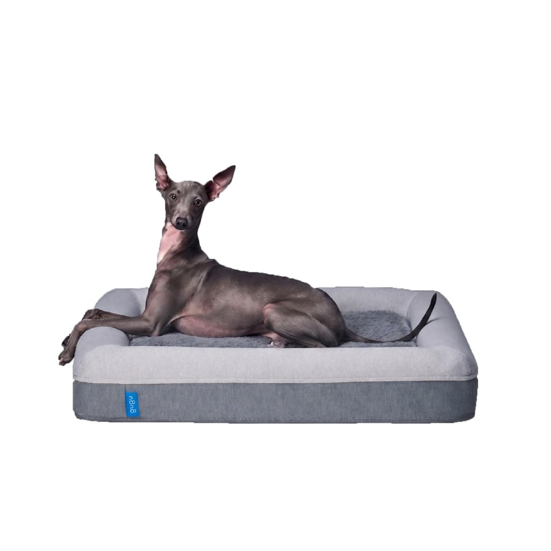 Amazon | グーグースリープ 犬 ペット ベッド スモール グレー gugu